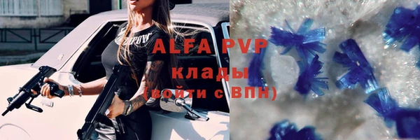 стафф Алзамай