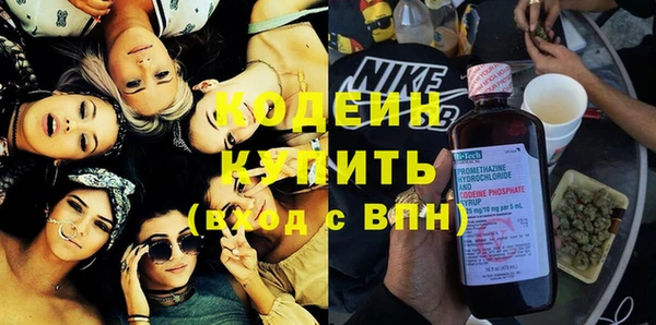 гашик Алексин
