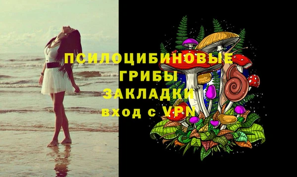 гашик Алексин