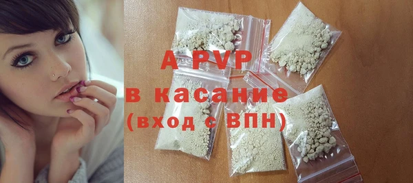 гашик Алексин
