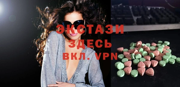 гашик Алексин